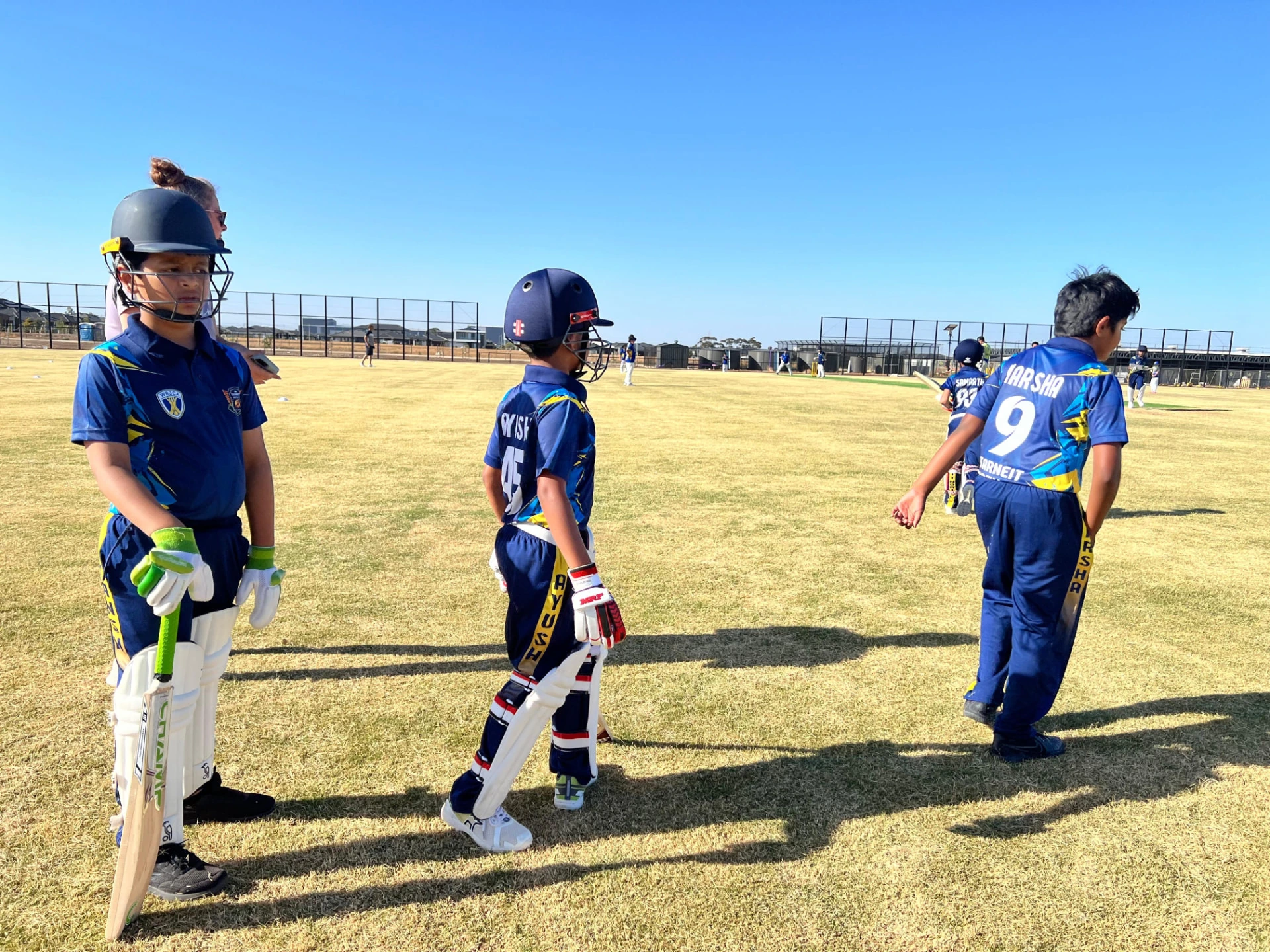 Cricket moment